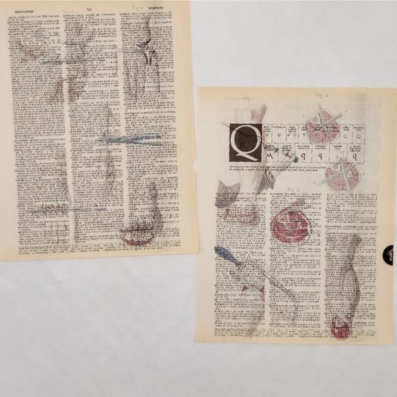 Anatomy Dictionary Prints 2, Colorful Anatomy Prints, Book Page Prints - Picture 4 of 6